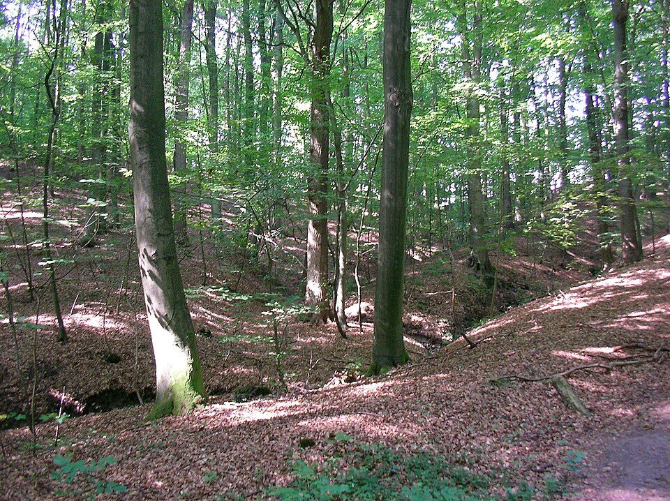 Wärmepumpe-Gurus in Börnsen – Ansicht von Börnsen (Foto: Regine Bachmann at de.wikipedia) Wärmepumpe-Gurus in Börnsen – Ansicht von Börnsen