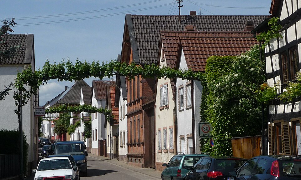 Wärmepumpe-Gurus in Ellerstadt – Ansicht von Ellerstadt (Foto: Immanuel Giel) Wärmepumpe-Gurus in Ellerstadt – Ansicht von Ellerstadt