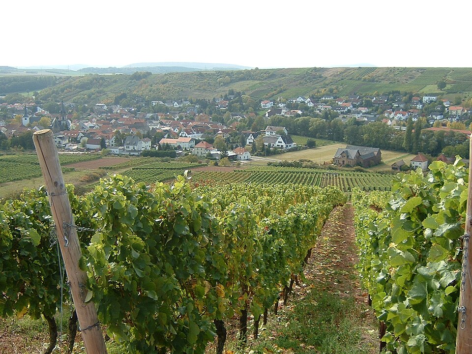 Wärmepumpe-Gurus in Guldental – Ansicht von Guldental (Foto: Anki64) Wärmepumpe-Gurus in Guldental – Ansicht von Guldental