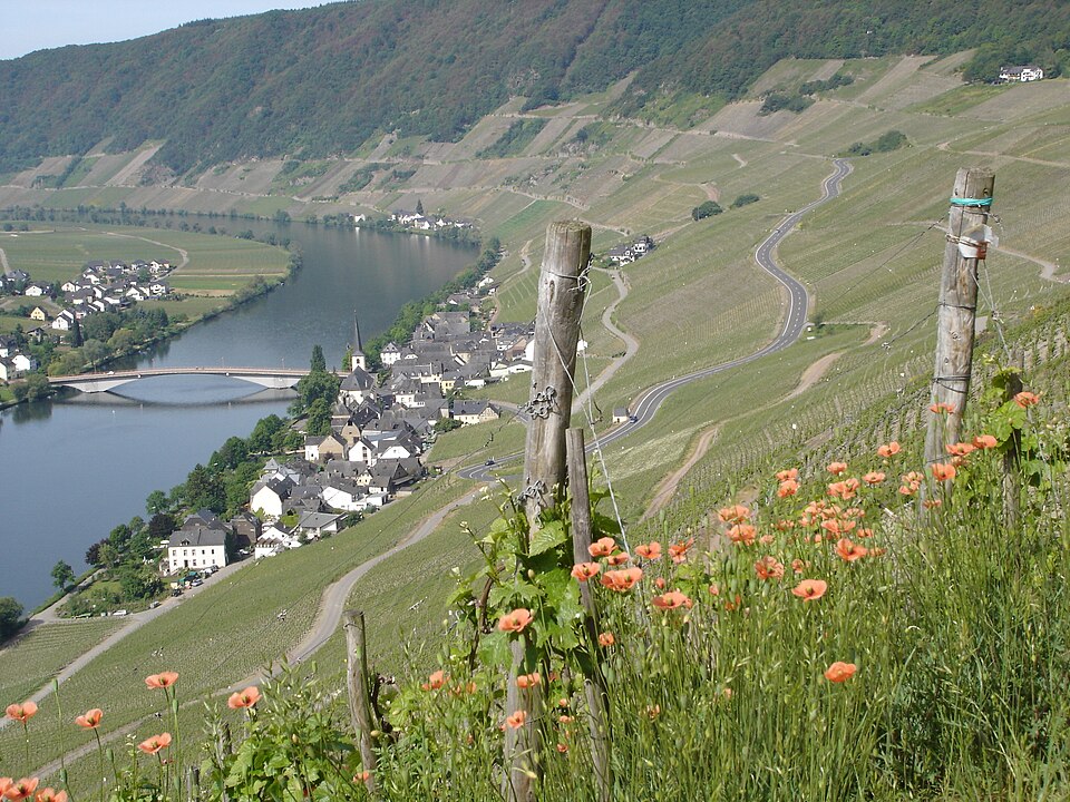 Wärmepumpe-Gurus in Piesport – Ansicht von Piesport (Foto: Touriste) Wärmepumpe-Gurus in Piesport – Ansicht von Piesport