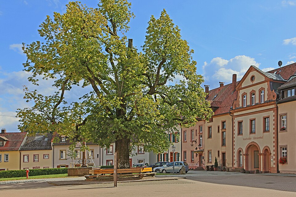 Wärmepumpe-Gurus in St. Peter – Kloster (Foto: W. Bulach) Kloster in St. Peter – Wärmepumpe-Gurus vermittelt Fachbetriebe in St. Peter