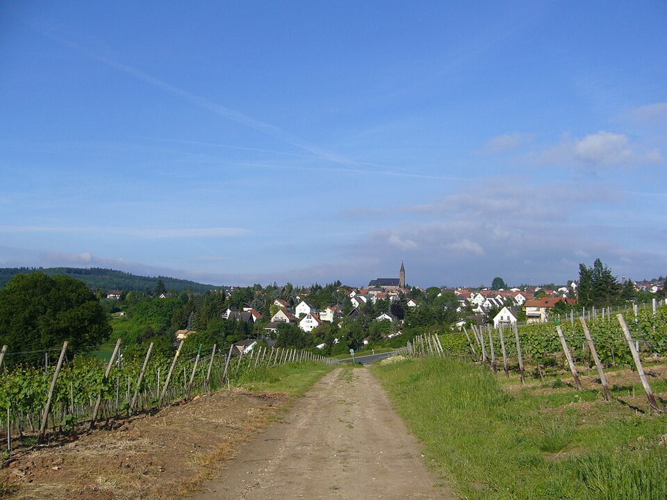 Wärmepumpe-Gurus in Weiler bei Bingen – Panorama (Foto: Ulrike Männer) Panorama in Weiler bei Bingen – Wärmepumpe-Gurus vermittelt Fachbetriebe in Weiler bei Bingen